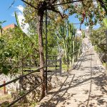 15206925-Web1