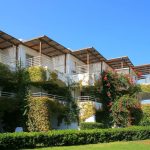 1EFFB38FC82FE576FD992782F6F4EBA9