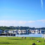 2AC5D29EAD5B596573B448D4D6C2BCC7