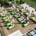 33979246-Original