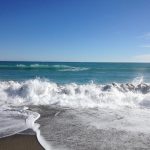 84F3B9E2413309BCB90113C583C14A77