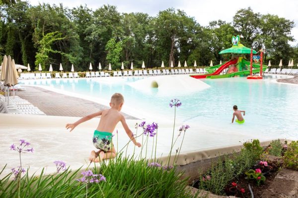 EC03D396CD81C371C06F3C77F58B3599