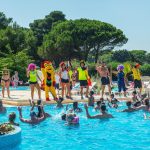 F31A59988EBC52699D415C3C50E31F44