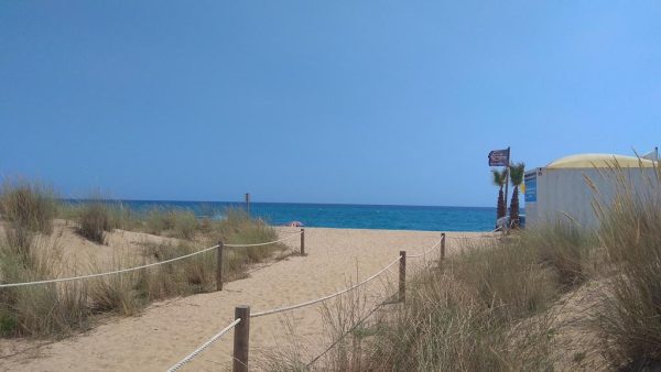 FF45C57BAACEBAFA82713D322266ED69